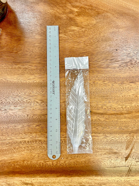 Selenite Feather Incense Holder next to a ruler, displaying its elegant length and natural selenite texture.